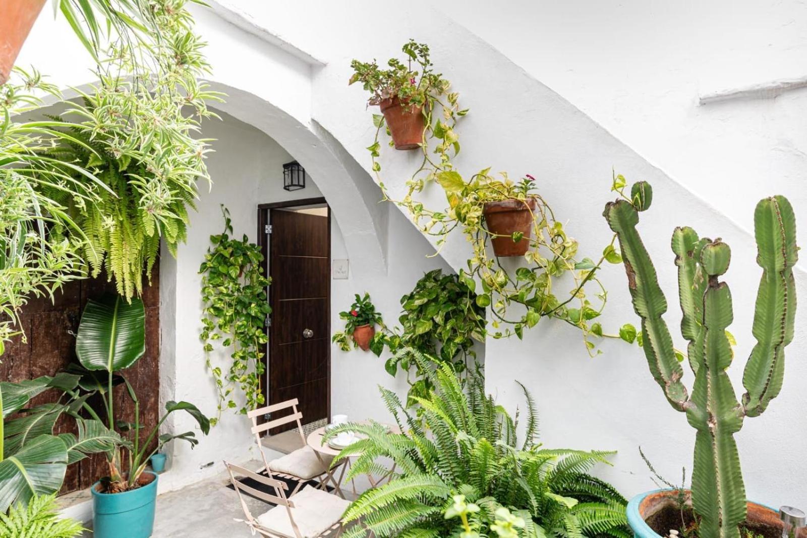 Casa La Fontana 3 Apartment Vejer de la Frontera Bagian luar foto